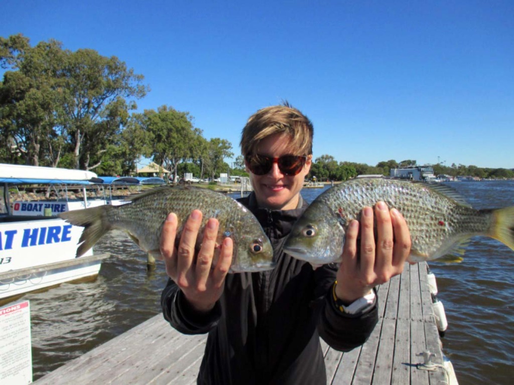 Tanya was holidaying in Noosa from Sydney and pulled in two nice 34cm bream at Lake Cooriobah whilst aboard the Noosa Fishing and Crab adventures. 