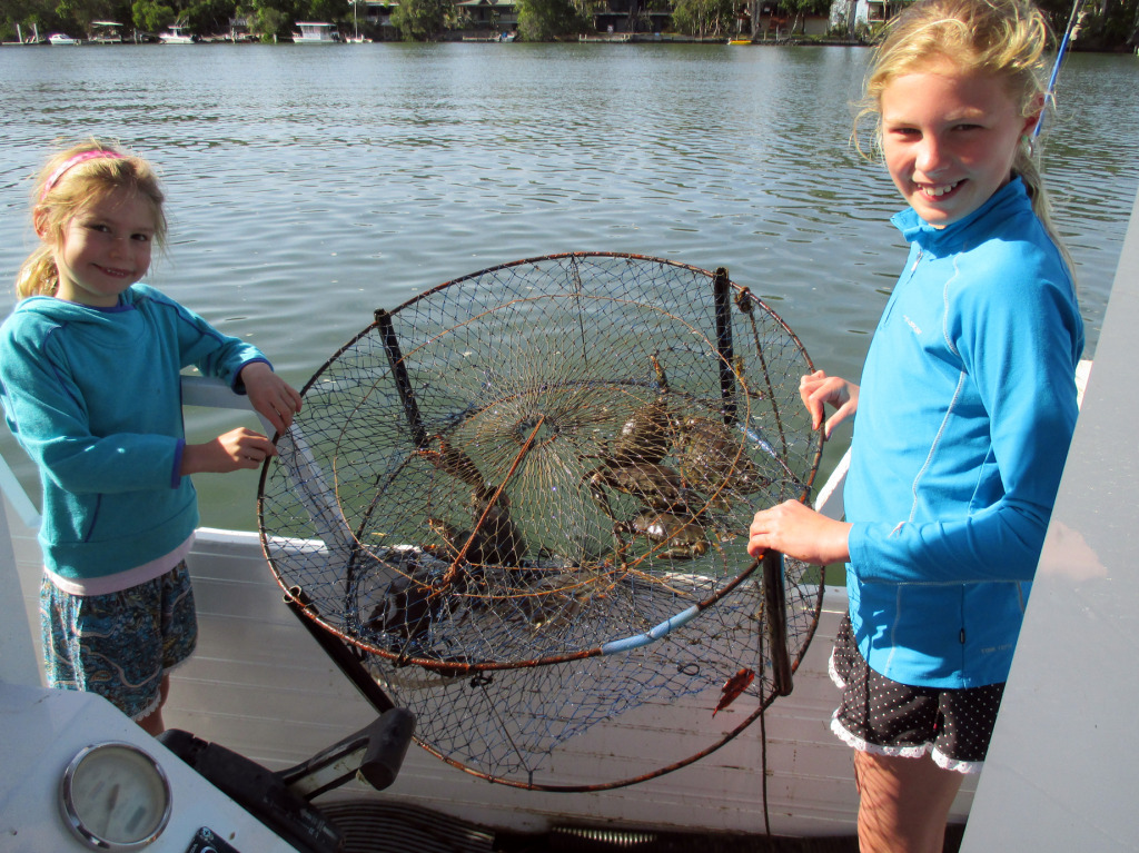 Jess and Abby caught and released multiple mud crabs along the stretch from the Yacht Club up to the ski run near the Tewantin Marina.  