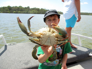 noosa boat hire