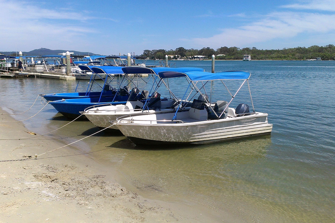 catamaran hire noosa river